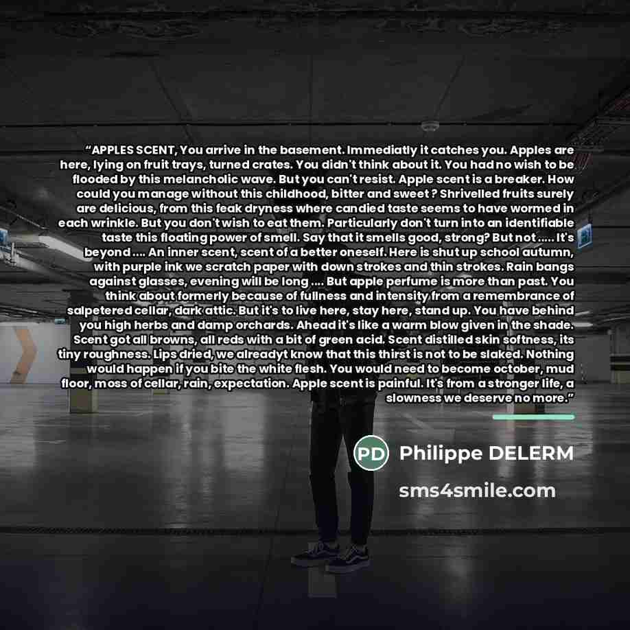 “APPLES SCENT, You arrive in the basement. Immediatly it catches you. Apples are here, lying on fruit trays, turned crates. You didn't think about it. You had no wish to be flooded by this melancholic wave. But you can't resist. Apple scent is a breaker. How could you manage without this childhood…” quote by Philippe DELERM