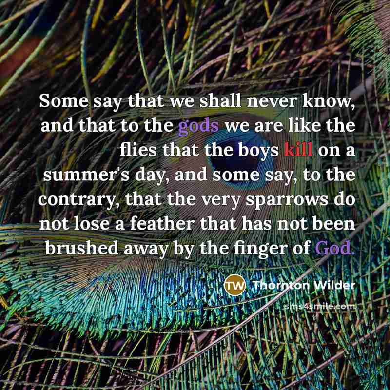 “Some say that we shall never know, and that to the gods we are like the flies that the boys kill on a summer's day, and some say, to the contrary, that the very sparrows do not lose a feather that has not been brushed away by the finger of God.” quote by Thornton Wilder
