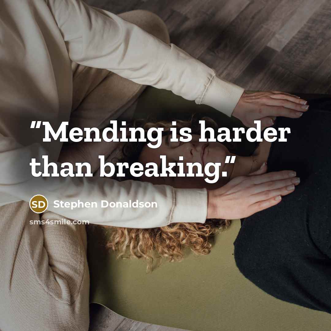 “Mending is harder than breaking.” quote by Stephen Donaldson