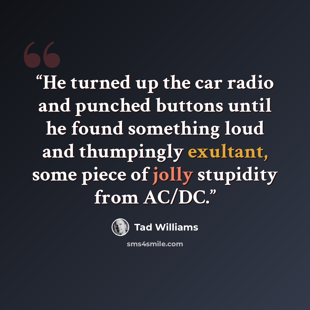 “He turned up the car radio and punched buttons until he found something loud and thumpingly exultant, some piece of jolly stupidity from AC/DC.” quote by Tad Williams