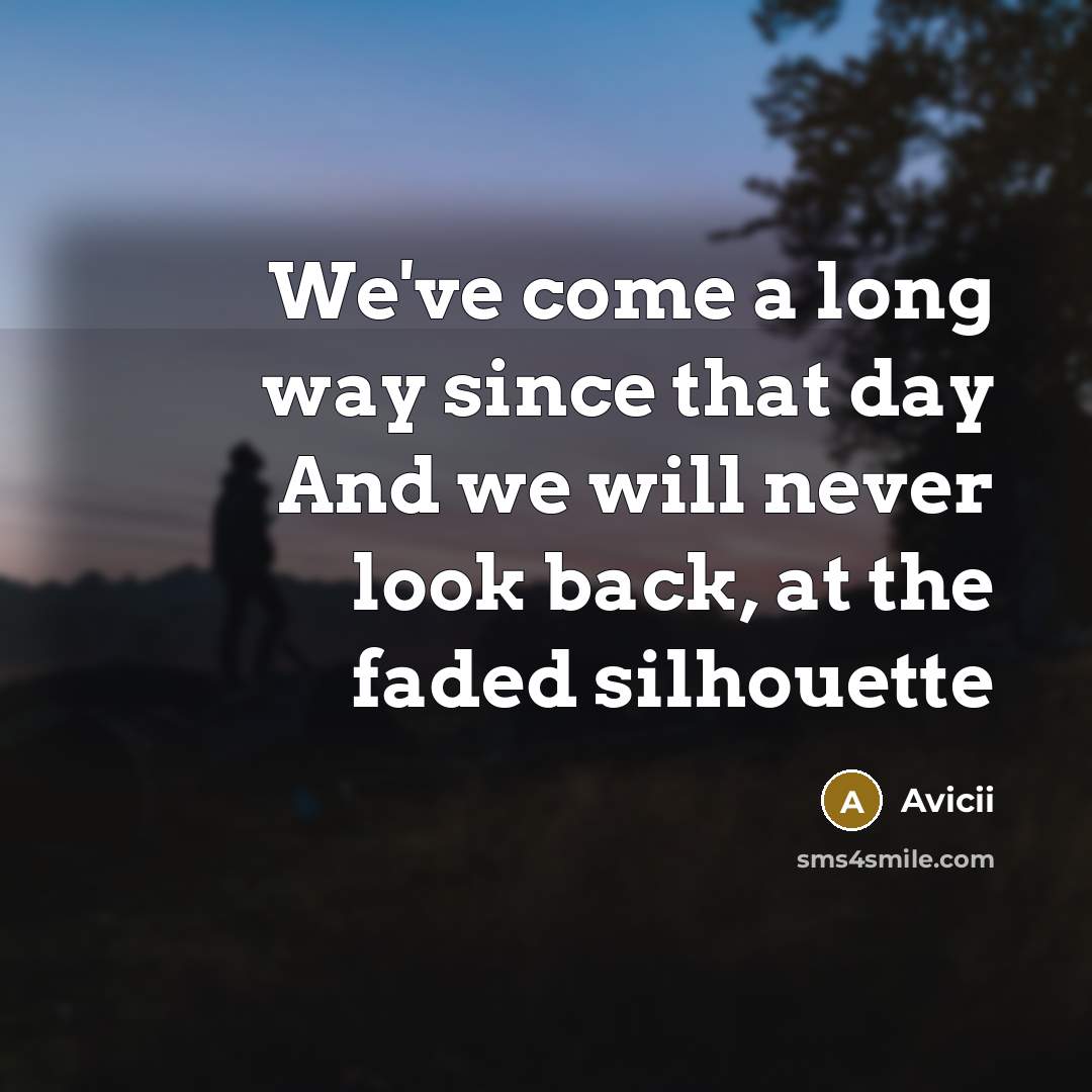 “We've come a long way since that day And we will never look back, at the faded silhouette” quote by Avicii