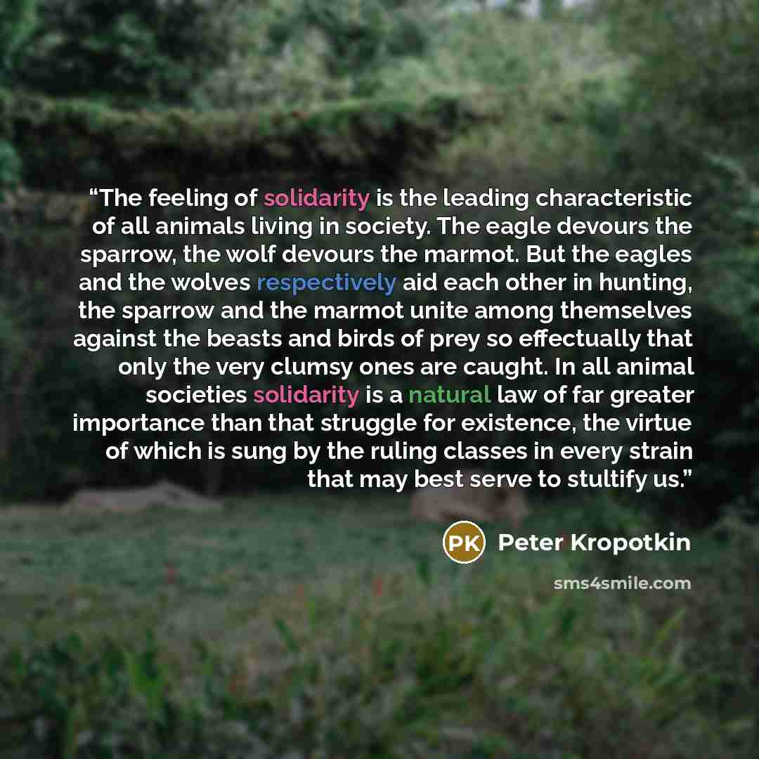 “The feeling of solidarity is the leading characteristic of all animals living in society. The eagle devours the sparrow, the wolf devours the marmot. But the eagles and the wolves respectively aid each other in hunting, the sparrow and the marmot unite among themselves against the beasts and birds…” quote by Peter Kropotkin