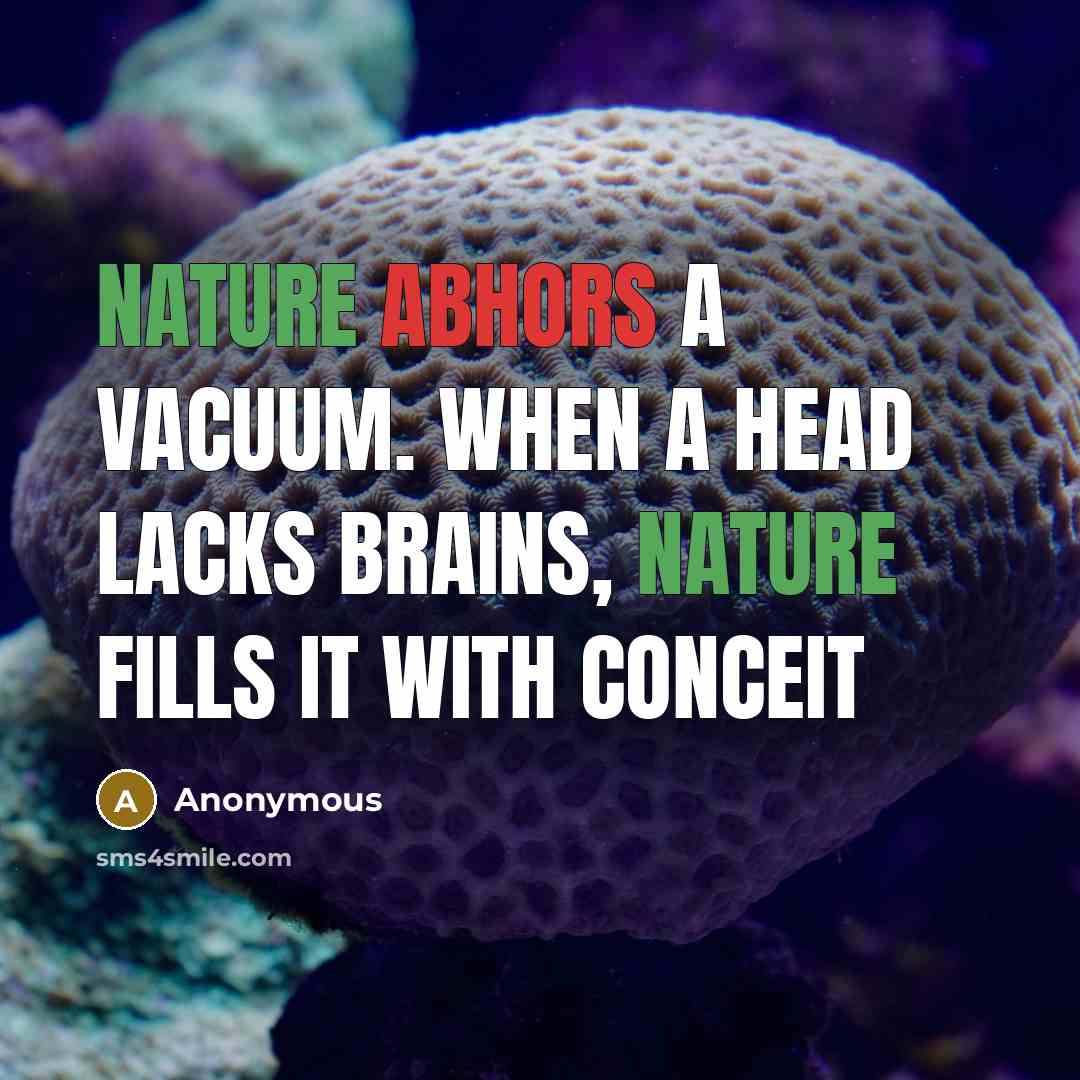 “Nature abhors a vacuum. When a head lacks brains, nature fills it with conceit” quote by Anonymous