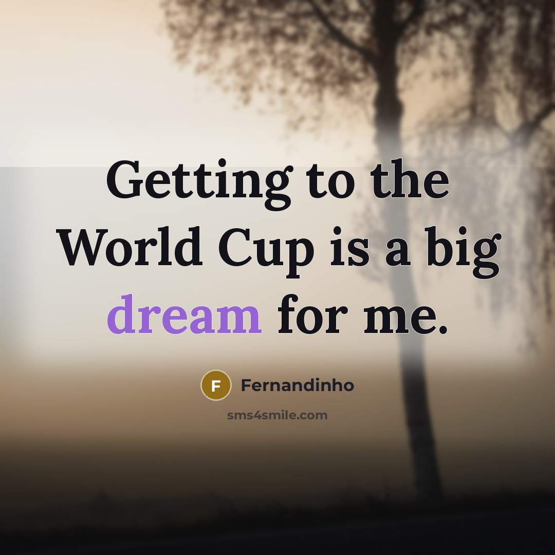 “Getting to the World Cup is a big dream for me.” quote by Fernandinho