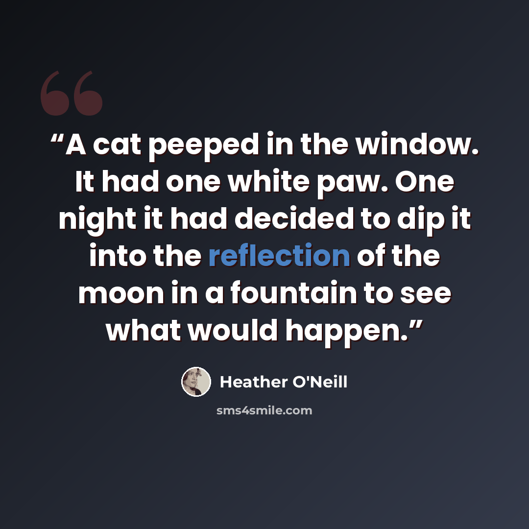 “A cat peeped in the window. It had one white paw. One night it had decided to dip it into the reflection of the moon in a fountain to see what would happen.” quote by Heather O'Neill