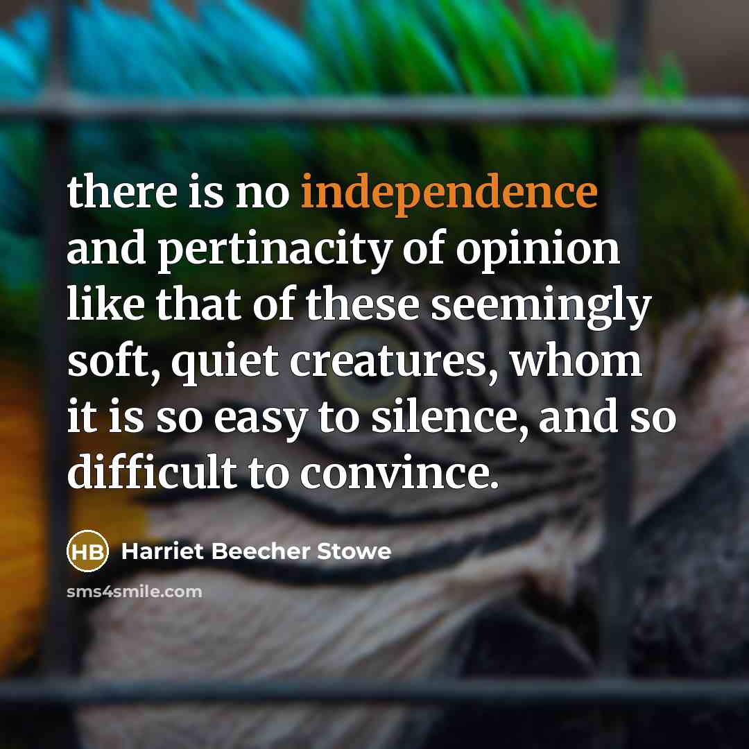 “there is no independence and pertinacity of opinion like that of these seemingly soft, quiet creatures, whom it is so easy to silence, and so difficult to convince.” quote by Harriet Beecher Stowe