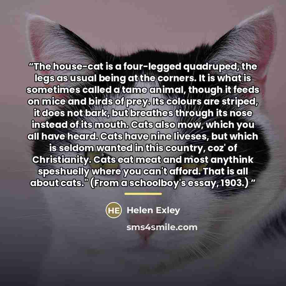 “The house-cat is a four-legged quadruped, the legs as usual being at the corners. It is what is sometimes called a tame animal, though it feeds on mice and birds of prey. Its colours are striped, it does not bark, but breathes through its nose instead of its mouth. Cats also mow, which you all…” quote by Helen Exley