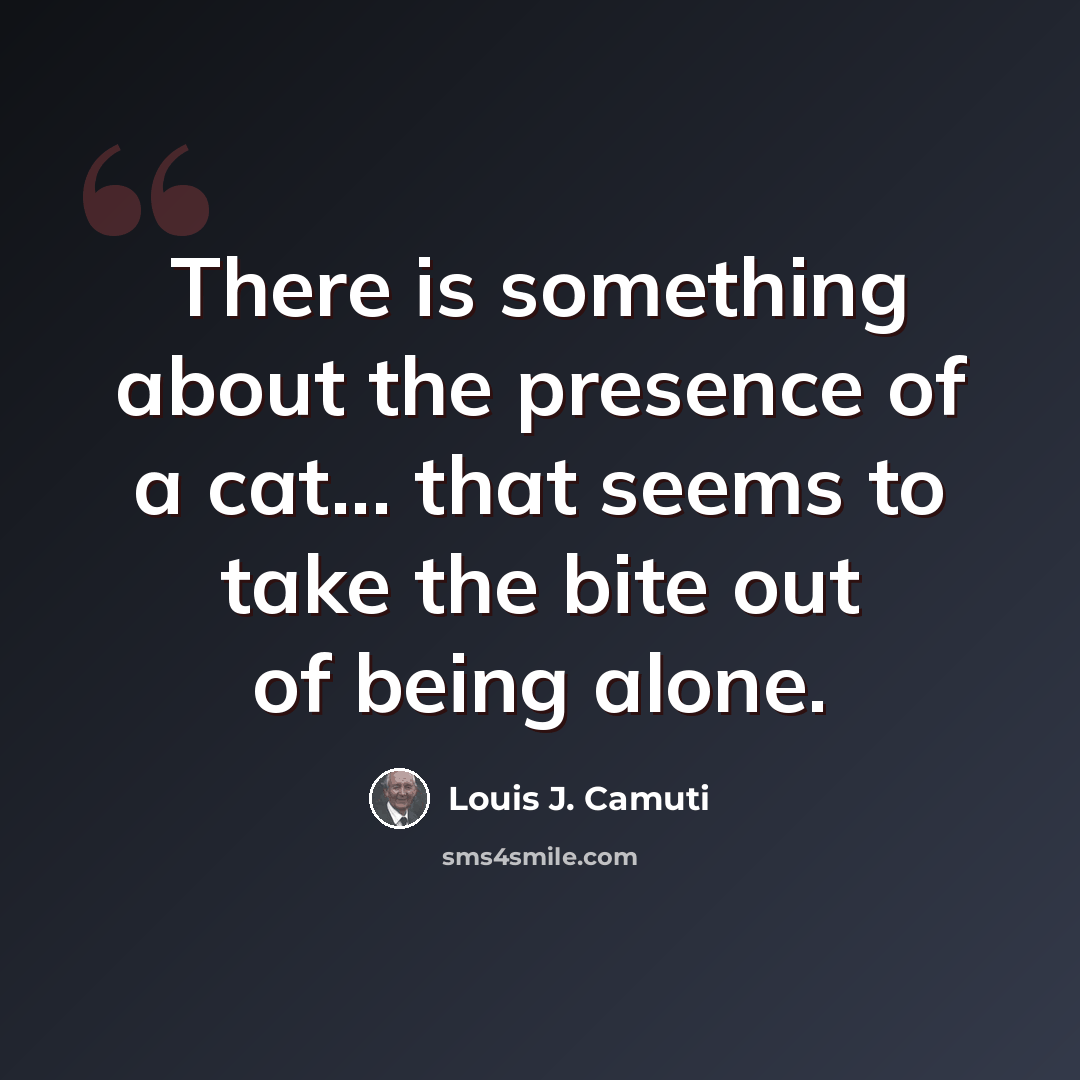 “There is something about the presence of a cat... that seems to take the bite out of being alone.” quote by Louis J. Camuti