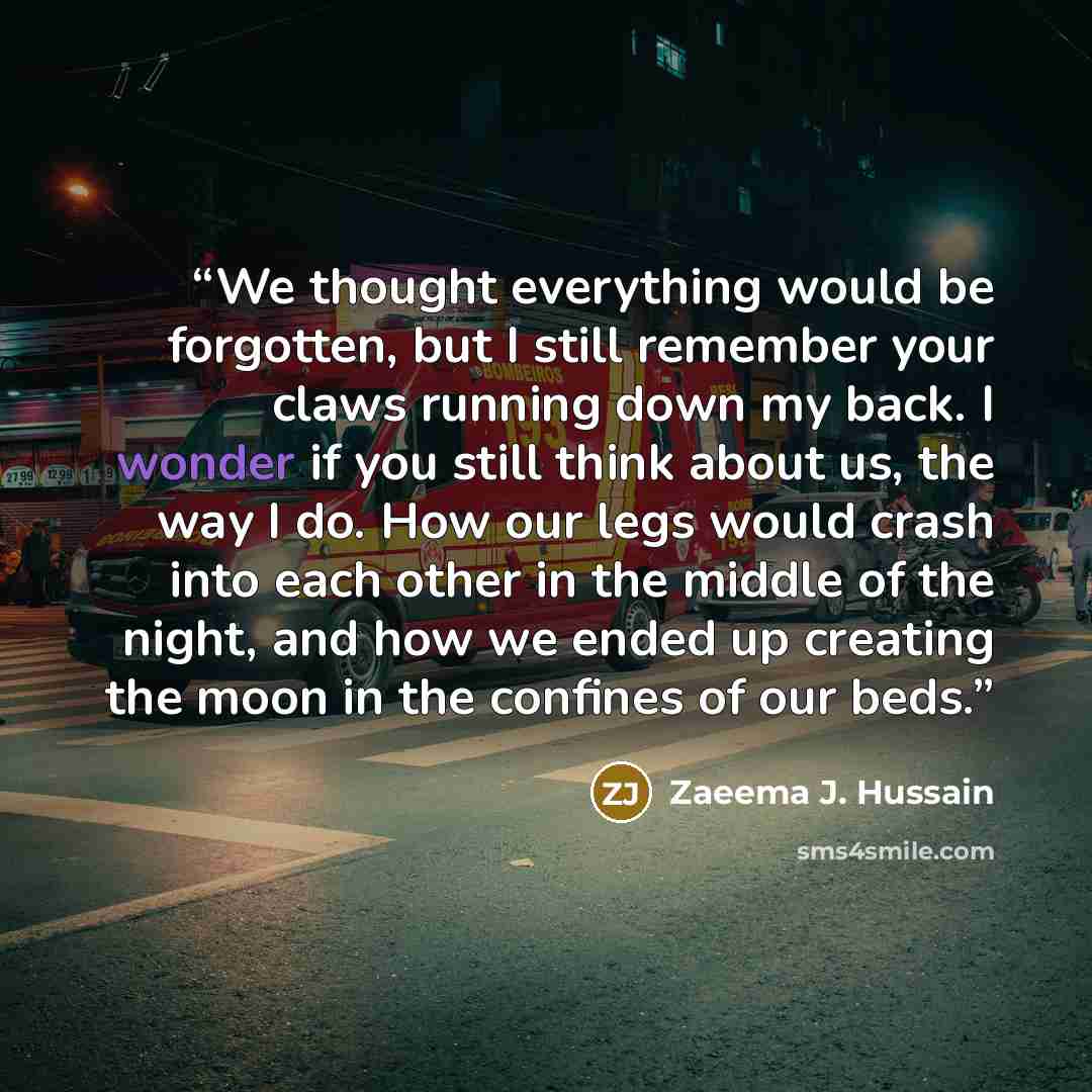 “We thought everything would be forgotten, but I still remember your claws running down my back. I wonder if you still think about us, the way I do. How our legs would crash into each other in the middle of the night, and how we ended up creating the moon in the confines of our beds.” quote by Zaeema J. Hussain
