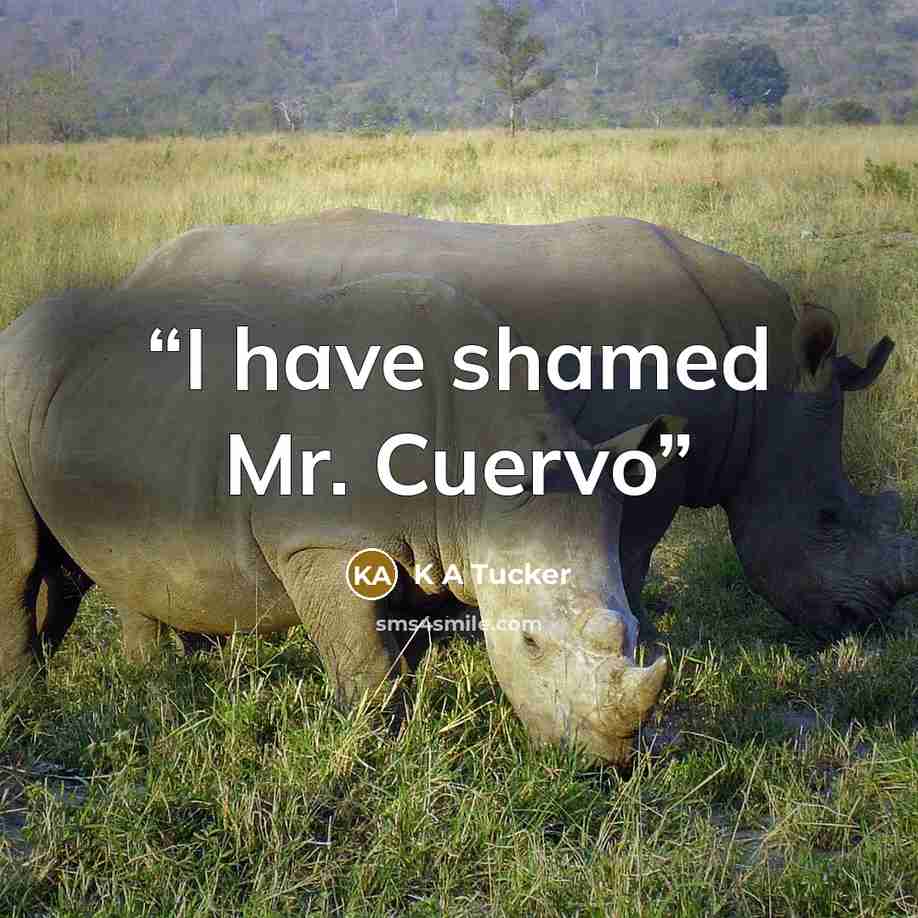 “I have shamed Mr. Cuervo” quote by K A Tucker