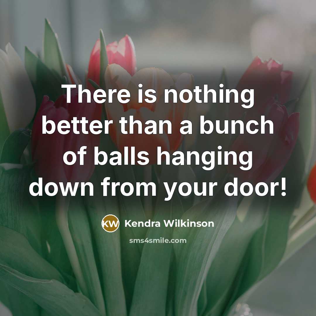 “There is nothing better than a bunch of balls hanging down from your door!” quote by Kendra Wilkinson