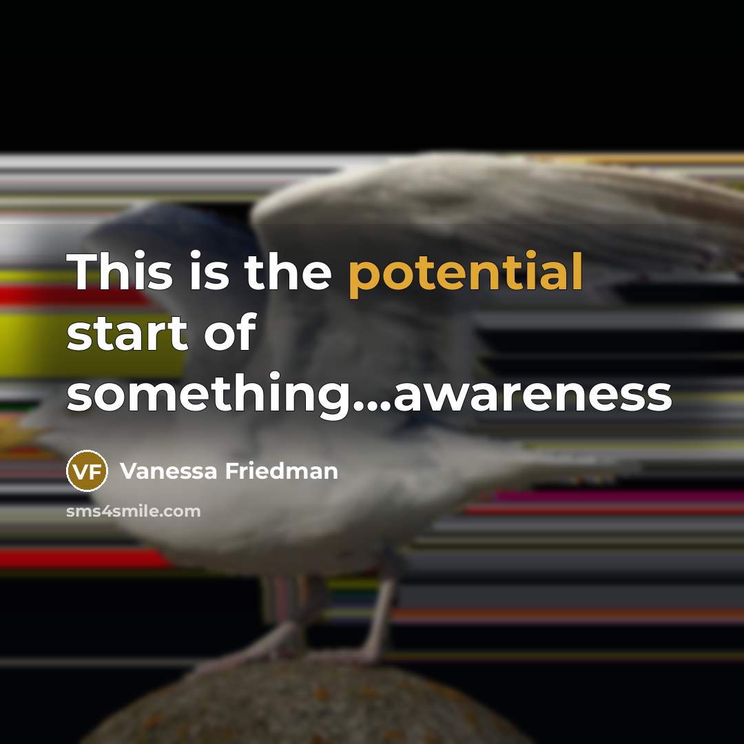 “This is the potential start of something...awareness” quote by Vanessa Friedman