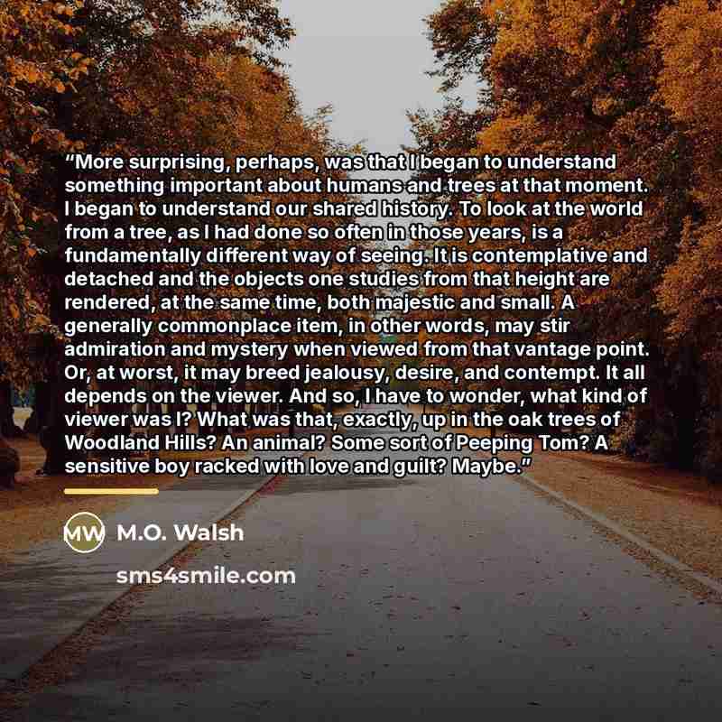 “More surprising, perhaps, was that I began to understand something important about humans and trees at that moment. I began to understand our shared history. To look at the world from a tree, as I had done so often in those years, is a fundamentally different way of seeing. It is contemplative and…” quote by M.O. Walsh