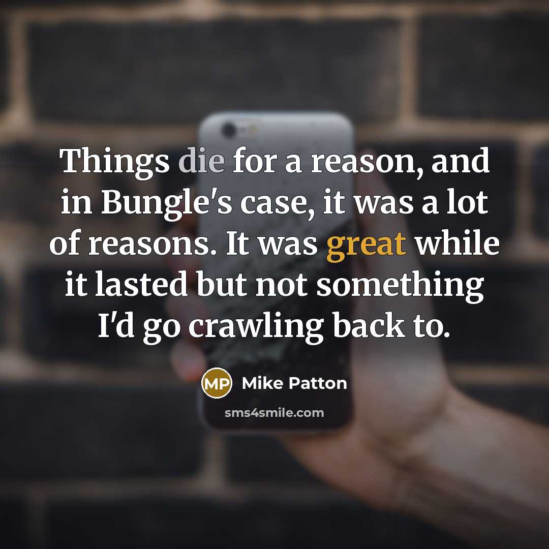 “Things die for a reason, and in Bungle's case, it was a lot of reasons. It was great while it lasted but not something I'd go crawling back to.” quote by Mike Patton