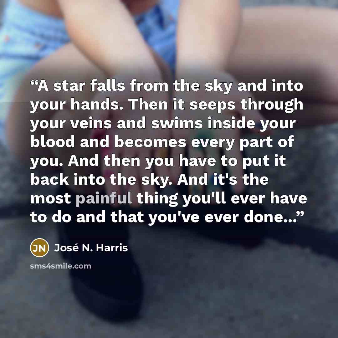 “A star falls from the sky and into your hands. Then it seeps through your veins and swims inside your blood and becomes every part of you. And then you have to put it back into the sky. And it's the most painful thing you'll ever have to do and that you've ever done...” quote by José N. Harris