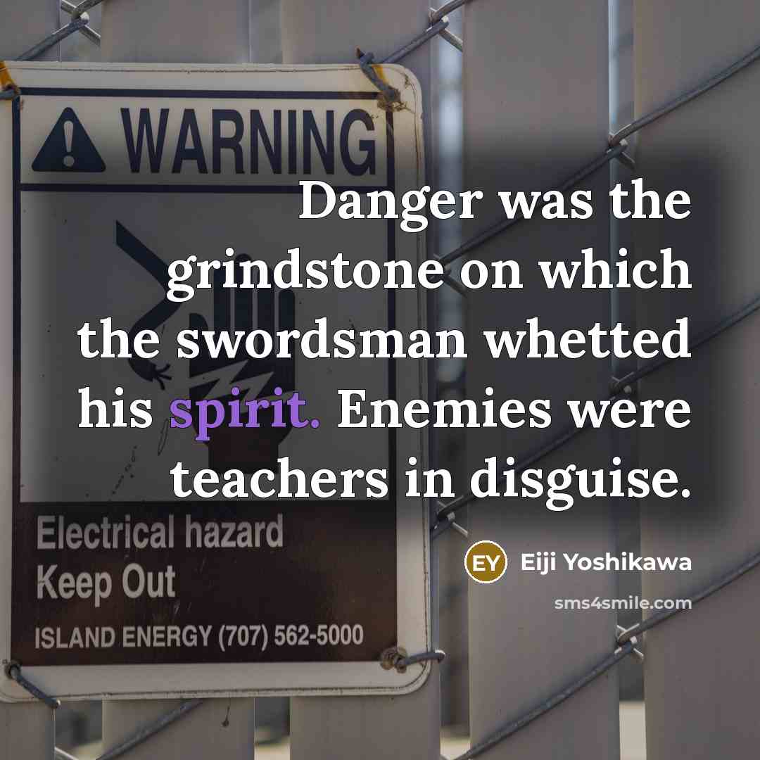 “Danger was the grindstone on which the swordsman whetted his spirit. Enemies were teachers in disguise.” quote by Eiji Yoshikawa