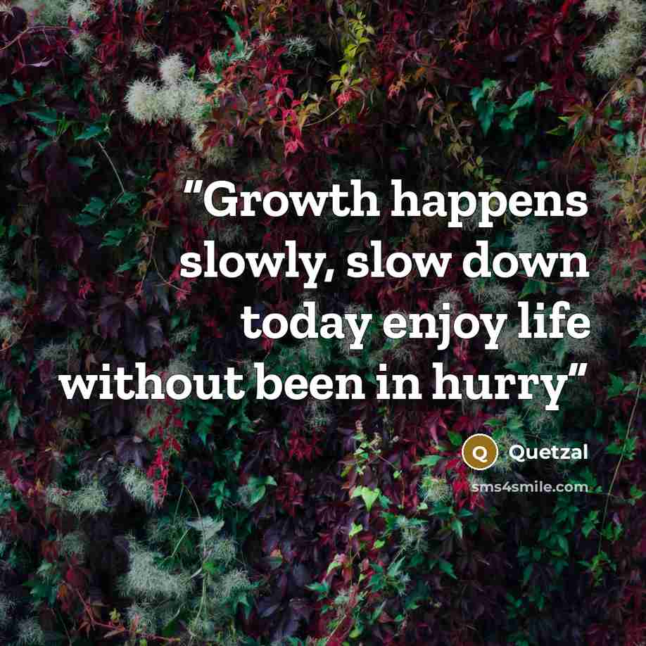 “Growth happens slowly, slow down today enjoy life without been in hurry” quote by Quetzal