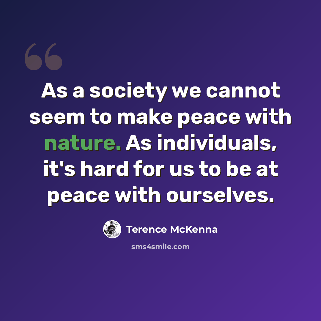 “As a society we cannot seem to make peace with nature. As individuals, it's hard for us to be at peace with ourselves.” quote by Terence McKenna
