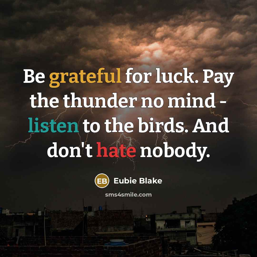“Be grateful for luck. Pay the thunder no mind - listen to the birds. And don't hate nobody.” quote by Eubie Blake