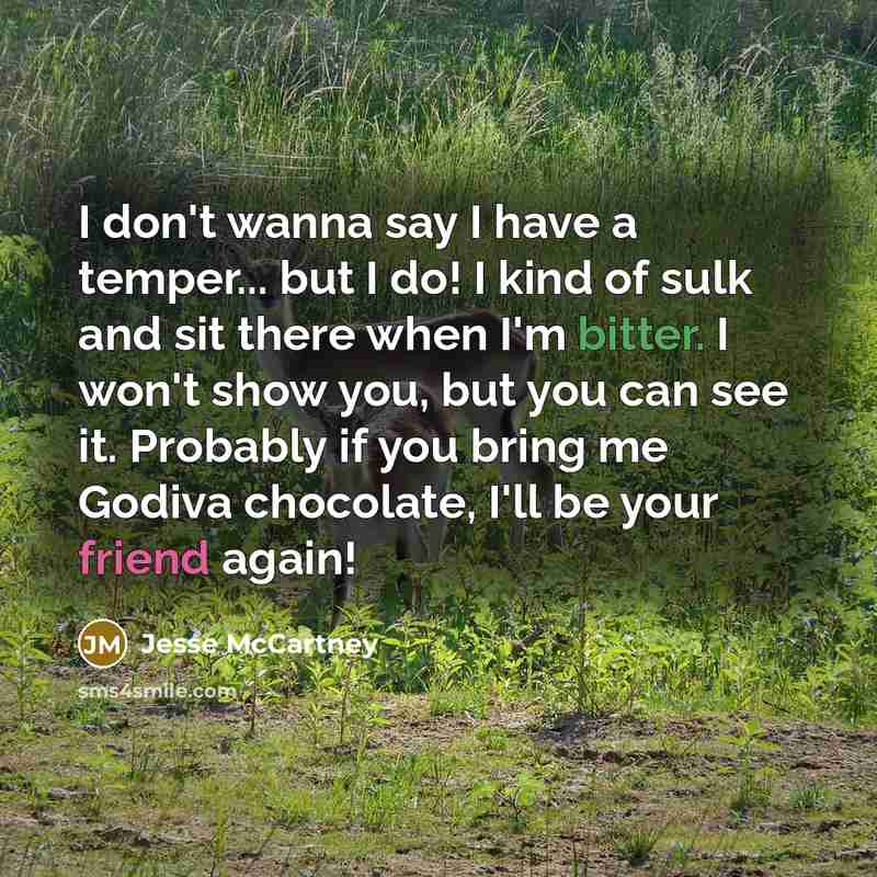 “I don't wanna say I have a temper... but I do! I kind of sulk and sit there when I'm bitter. I won't show you, but you can see it. Probably if you bring me Godiva chocolate, I'll be your friend again!” quote by Jesse McCartney