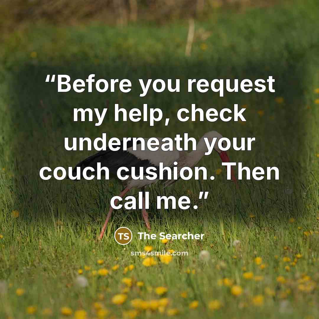 “Before you request my help, check underneath your couch cushion. Then call me.” quote by The Searcher