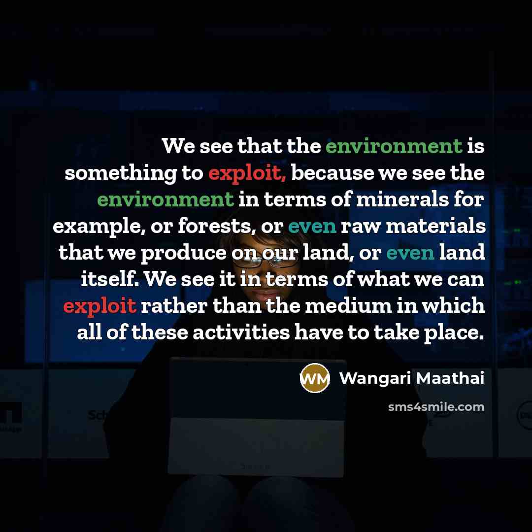 “We see that the environment is something to exploit, because we see the environment in terms of minerals for example, or forests, or even raw materials that we produce on our land, or even land itself. We see it in terms of what we can exploit rather than the medium in which all of these…” quote by Wangari Maathai