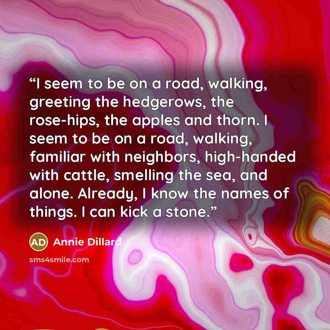 “I seem to be on a road, walking, greeting the hedgerows, the rose-hips, the apples and thorn. I seem to be on a road, walking, familiar with neighbors, high-handed with cattle, smelling the sea, and alone. Already, I know the names of things. I can kick a stone.” quote by Annie Dillard