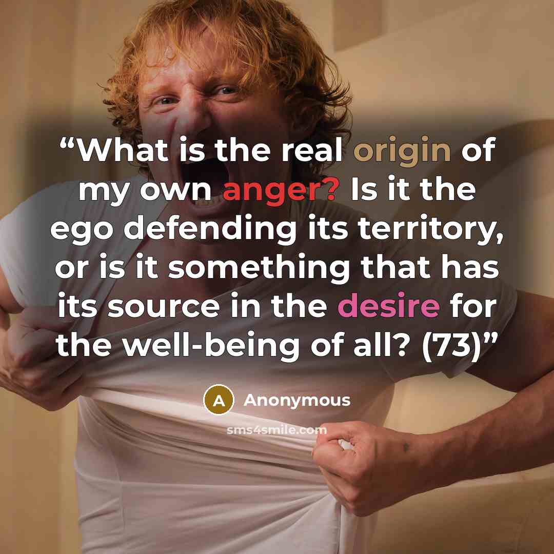 “What is the real origin of my own anger? Is it the ego defending its territory, or is it something that has its source in the desire for the well-being of all? (73)” quote by Anonymous