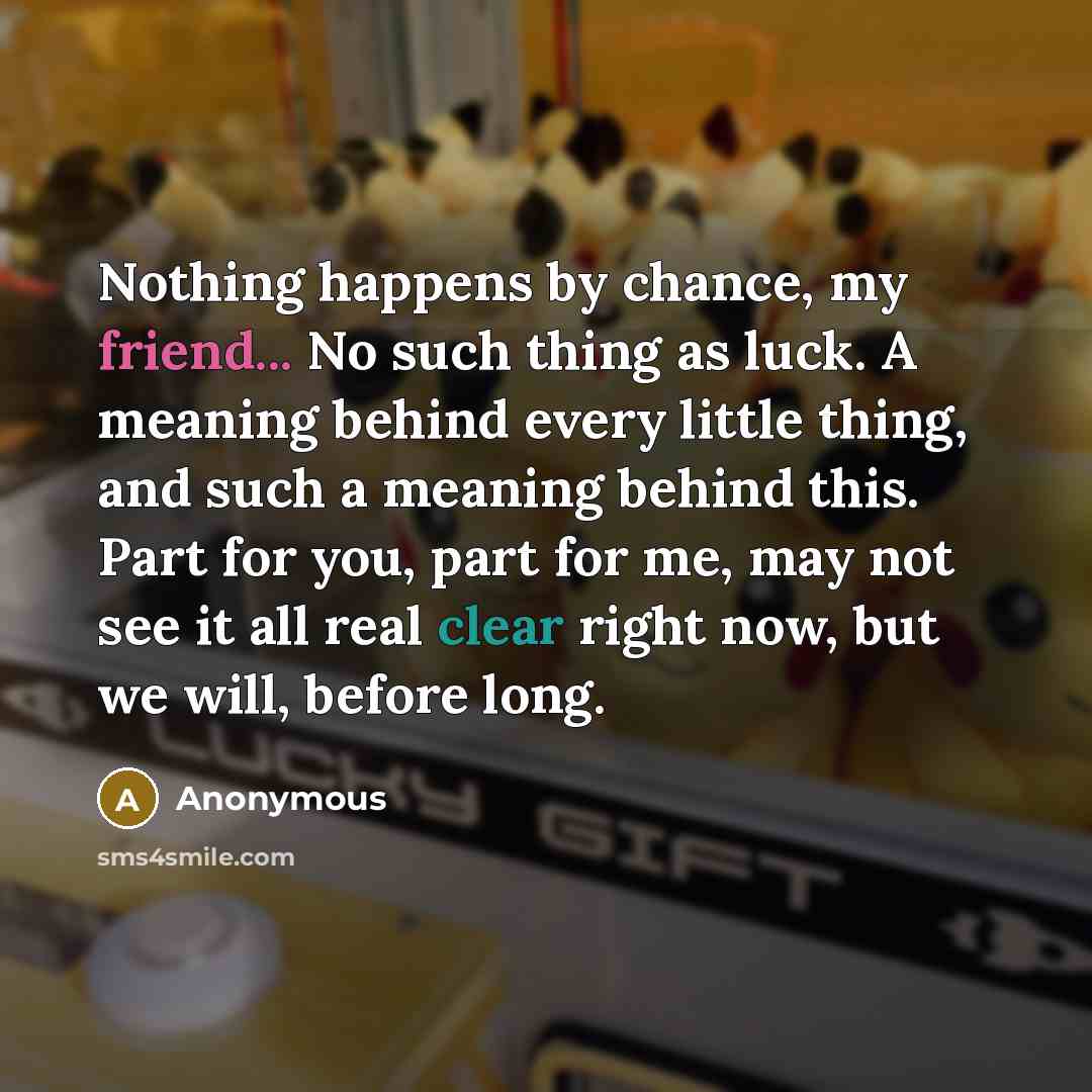 “Nothing happens by chance, my friend... No such thing as luck. A meaning behind every little thing, and such a meaning behind this. Part for you, part for me, may not see it all real clear right now, but we will, before long.” quote by Anonymous