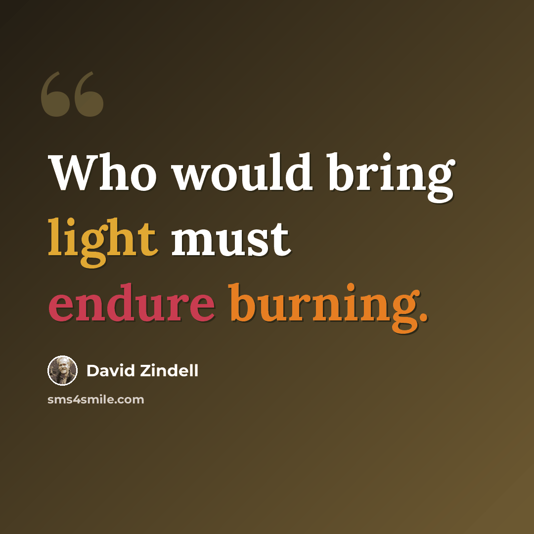 “Who would bring light must endure burning.” quote by David Zindell