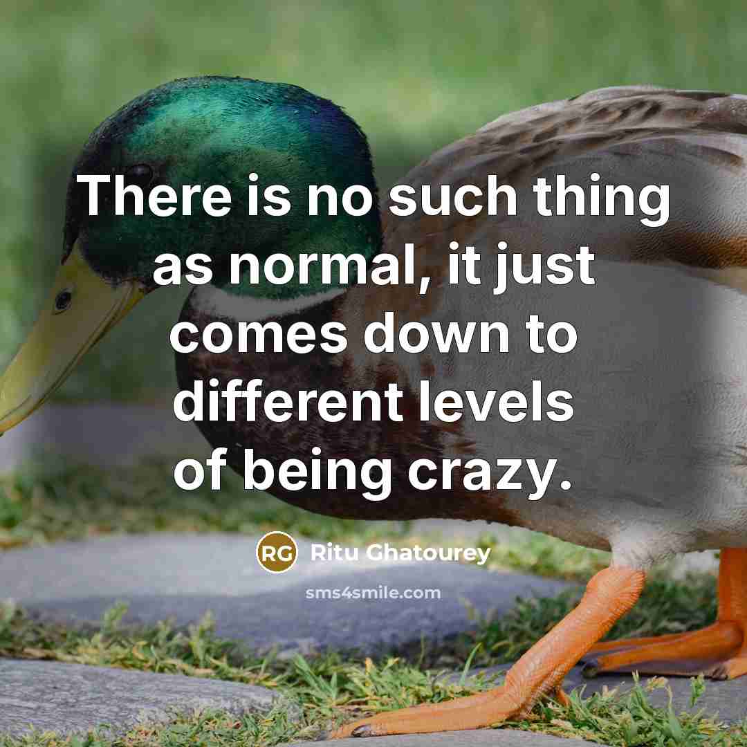 “There is no such thing as normal, it just comes down to different levels of being crazy.” quote by Ritu Ghatourey
