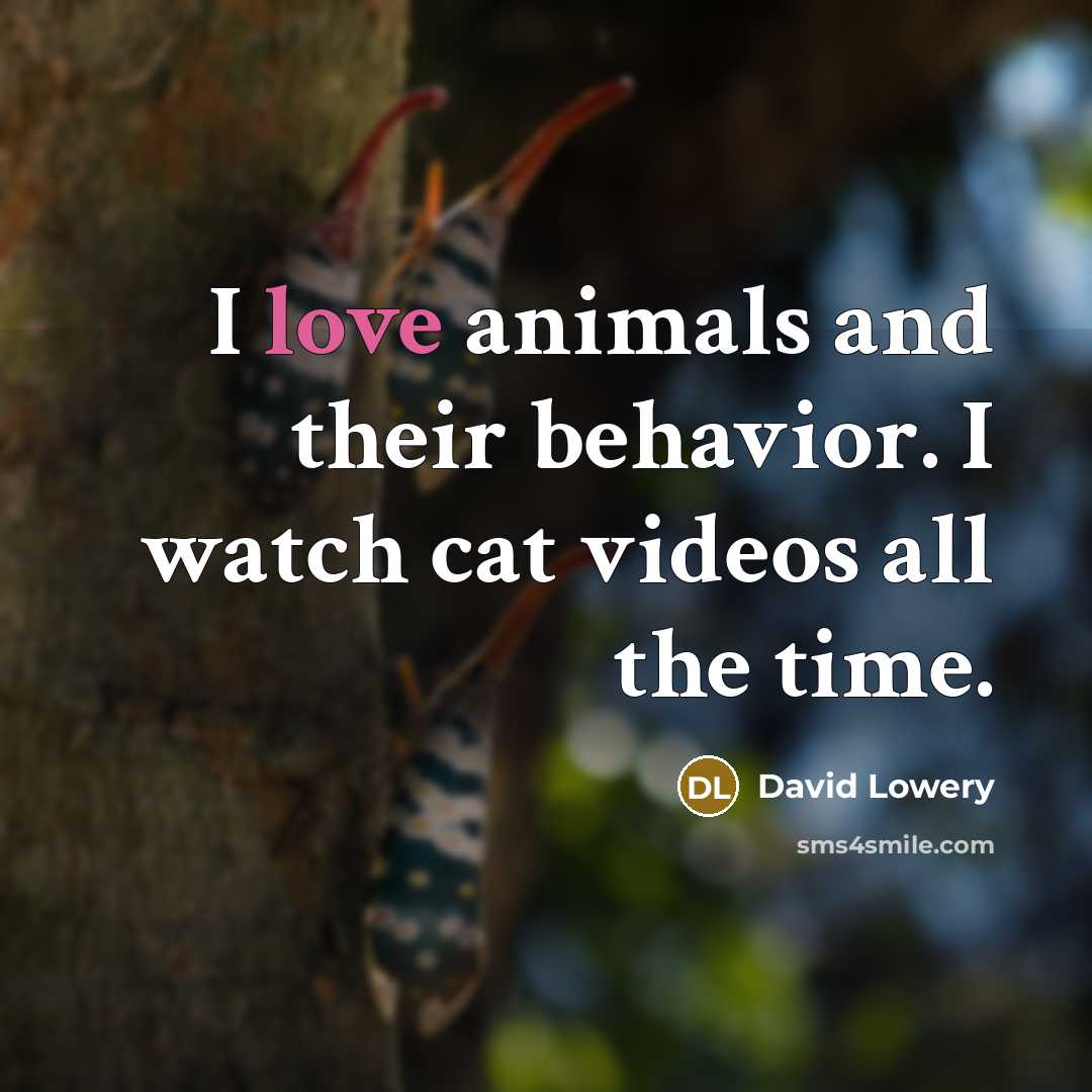 “I love animals and their behavior. I watch cat videos all the time.” quote by David Lowery