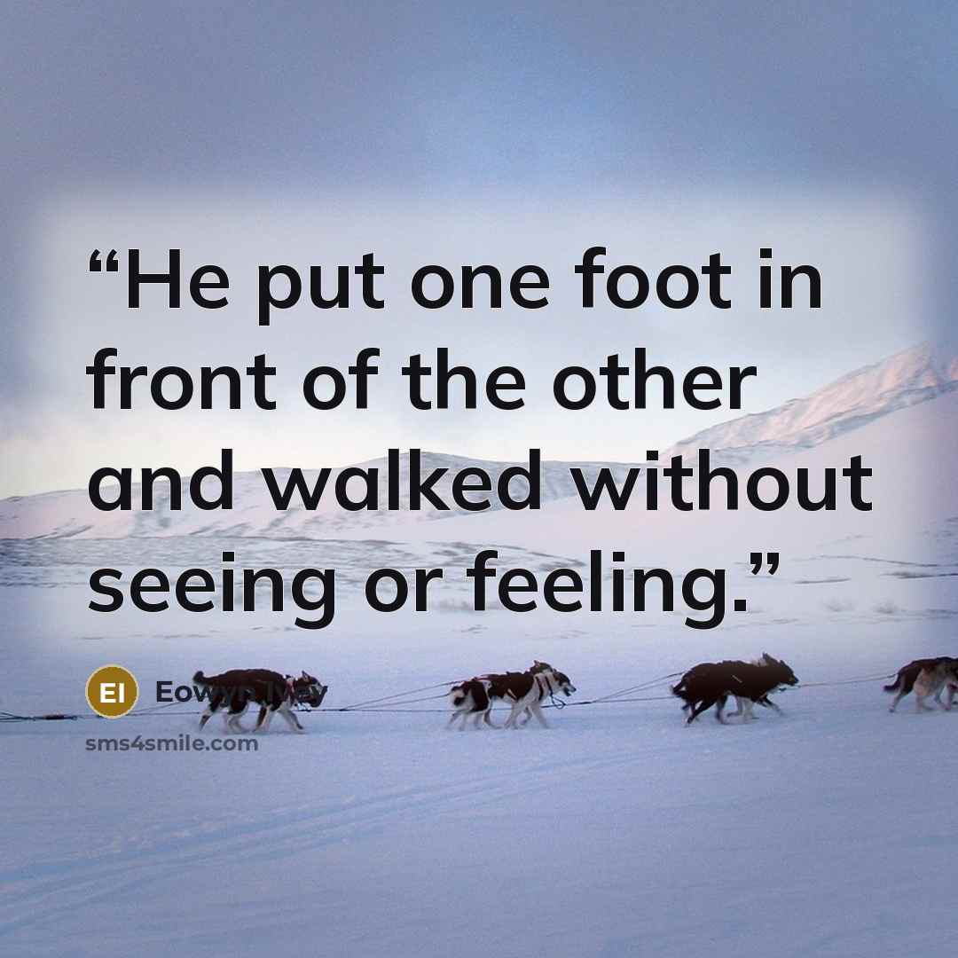 “He put one foot in front of the other and walked without seeing or feeling.” quote by Eowyn Ivey