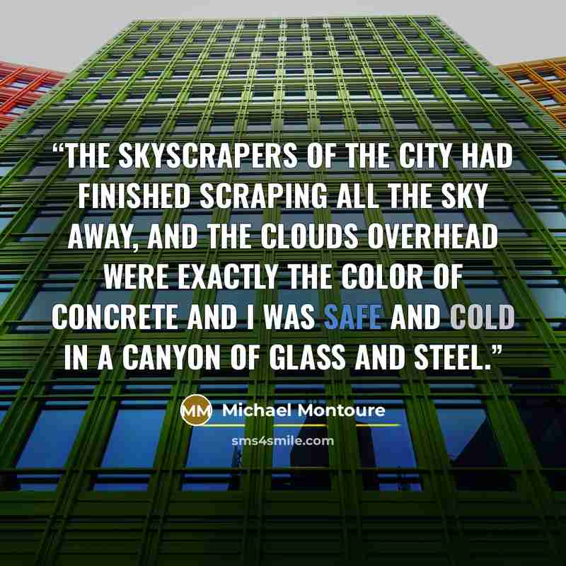 “The skyscrapers of the city had finished scraping all the sky away, and the clouds overhead were exactly the color of concrete and I was safe and cold in a canyon of glass and steel.” quote by Michael Montoure