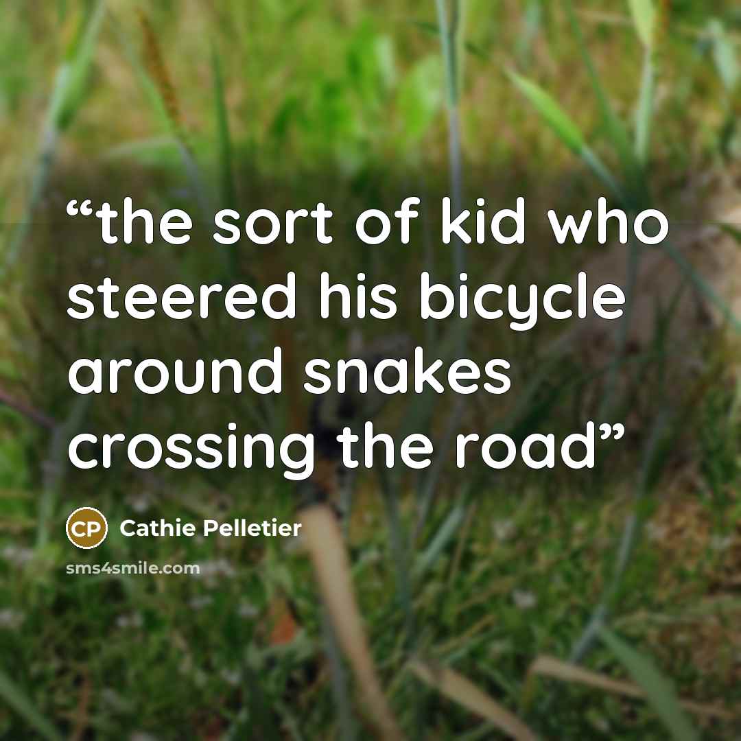 “the sort of kid who steered his bicycle around snakes crossing the road” quote by Cathie Pelletier