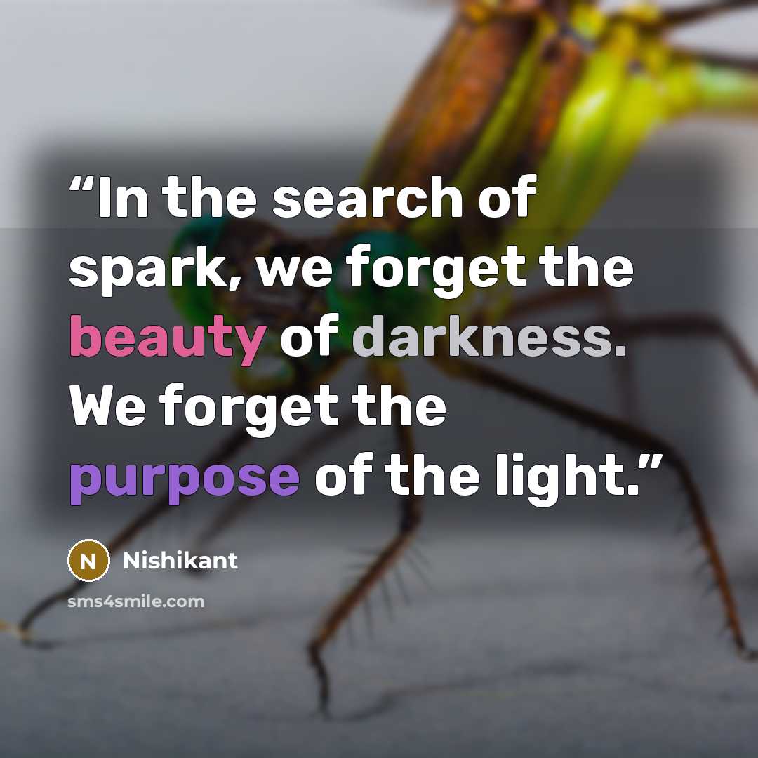 “In the search of spark, we forget the beauty of darkness. We forget the purpose of the light.” quote by Nishikant