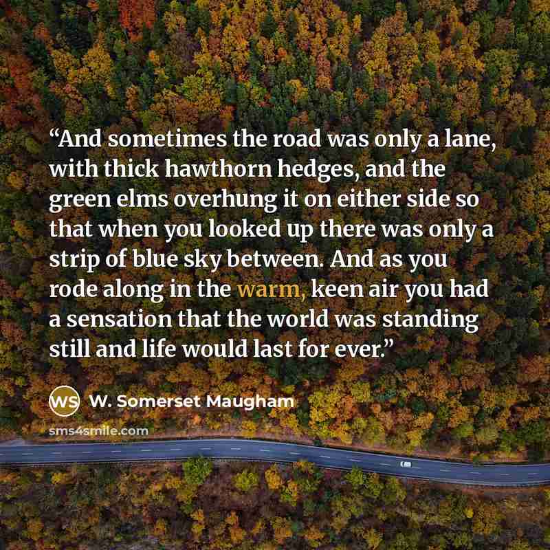 “And sometimes the road was only a lane, with thick hawthorn hedges, and the green elms overhung it on either side so that when you looked up there was only a strip of blue sky between. And as you rode along in the warm, keen air you had a sensation that the world was standing still and life would…” quote by W. Somerset Maugham