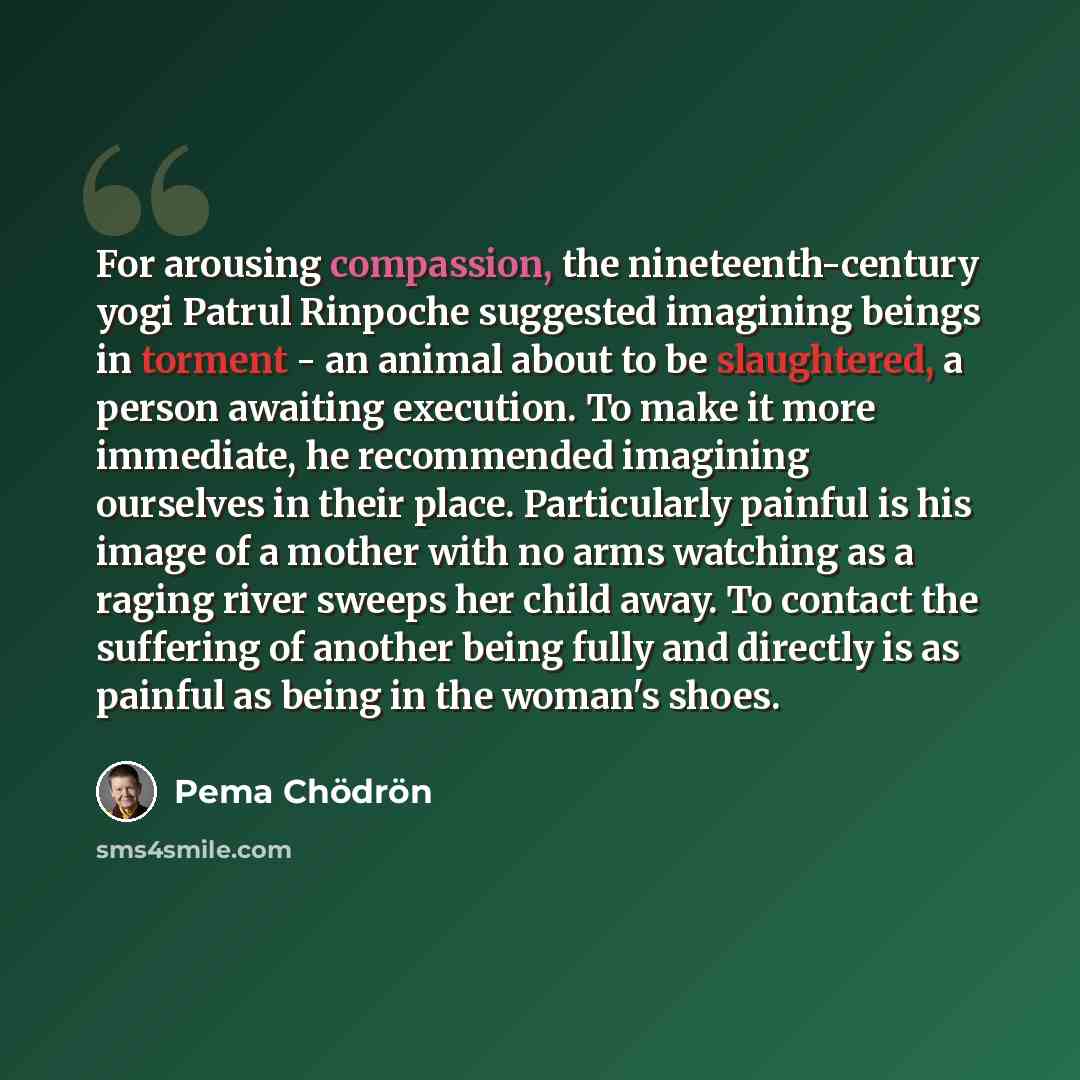 “For arousing compassion, the nineteenth-century yogi Patrul Rinpoche suggested imagining beings in torment - an animal about to be slaughtered, a person awaiting execution. To make it more immediate, he recommended imagining ourselves in their place. Particularly painful is his image of a mother…” quote by Pema Chodron