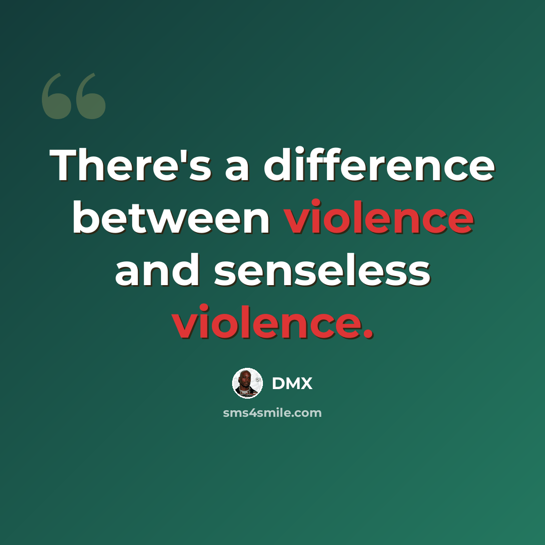 “There's a difference between violence and senseless violence.” quote by DMX
