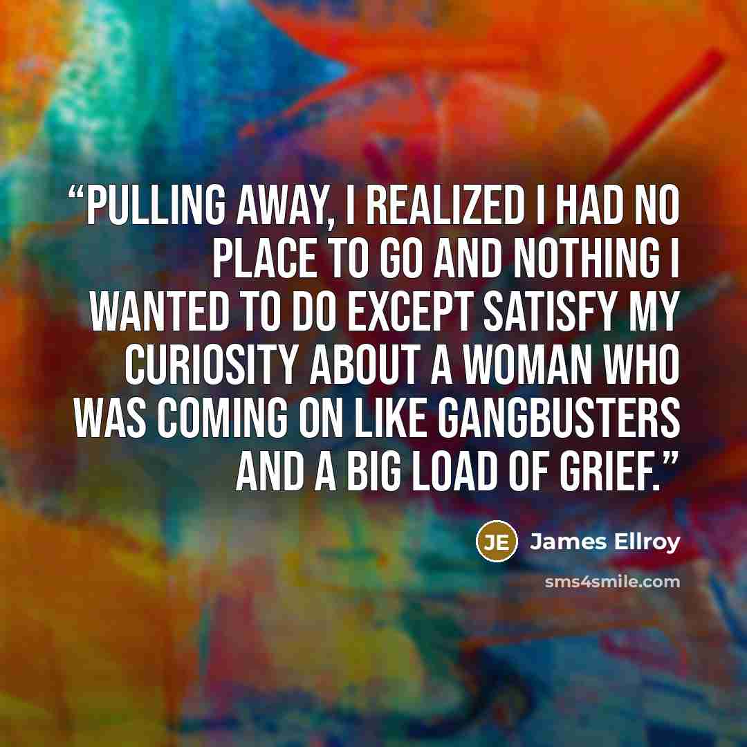 “Pulling away, I realized I had no place to go and nothing I wanted to do except satisfy my curiosity about a woman who was coming on like gangbusters and a big load of grief.” quote by James Ellroy