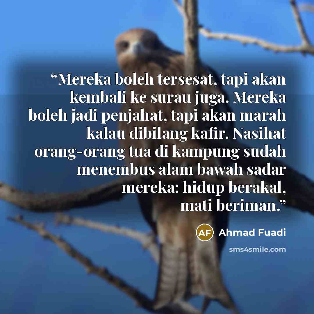 “Mereka boleh tersesat, tapi akan kembali ke surau juga. Mereka boleh jadi penjahat, tapi akan marah kalau dibilang kafir. Nasihat orang-orang tua di kampung sudah menembus alam bawah sadar mereka: hidup berakal, mati beriman.” quote by Ahmad Fuadi