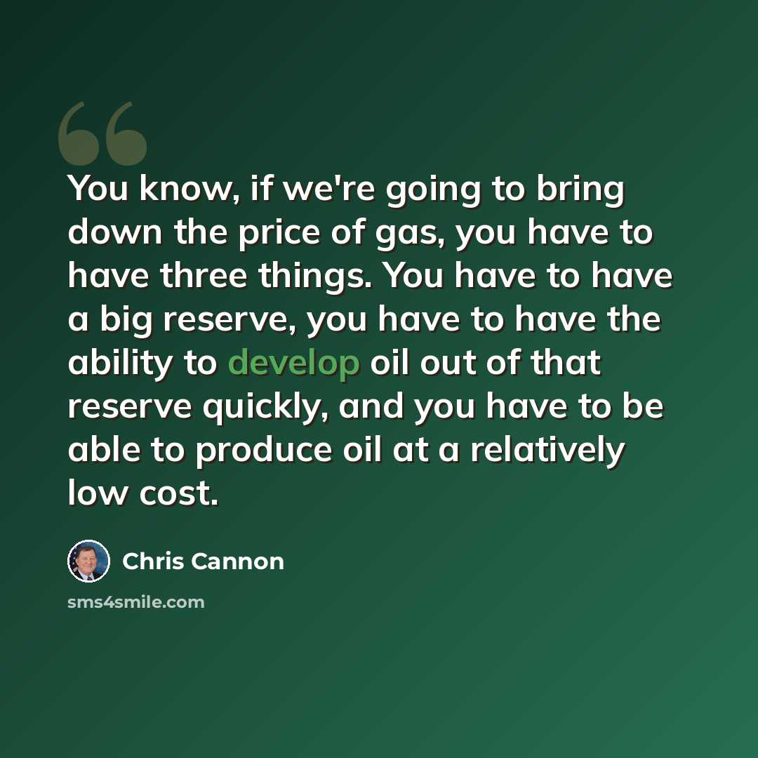 “You know, if we're going to bring down the price of gas, you have to have three things. You have to have a big reserve, you have to have the ability to develop oil out of that reserve quickly, and you have to be able to produce oil at a relatively low cost.” quote by Chris Cannon