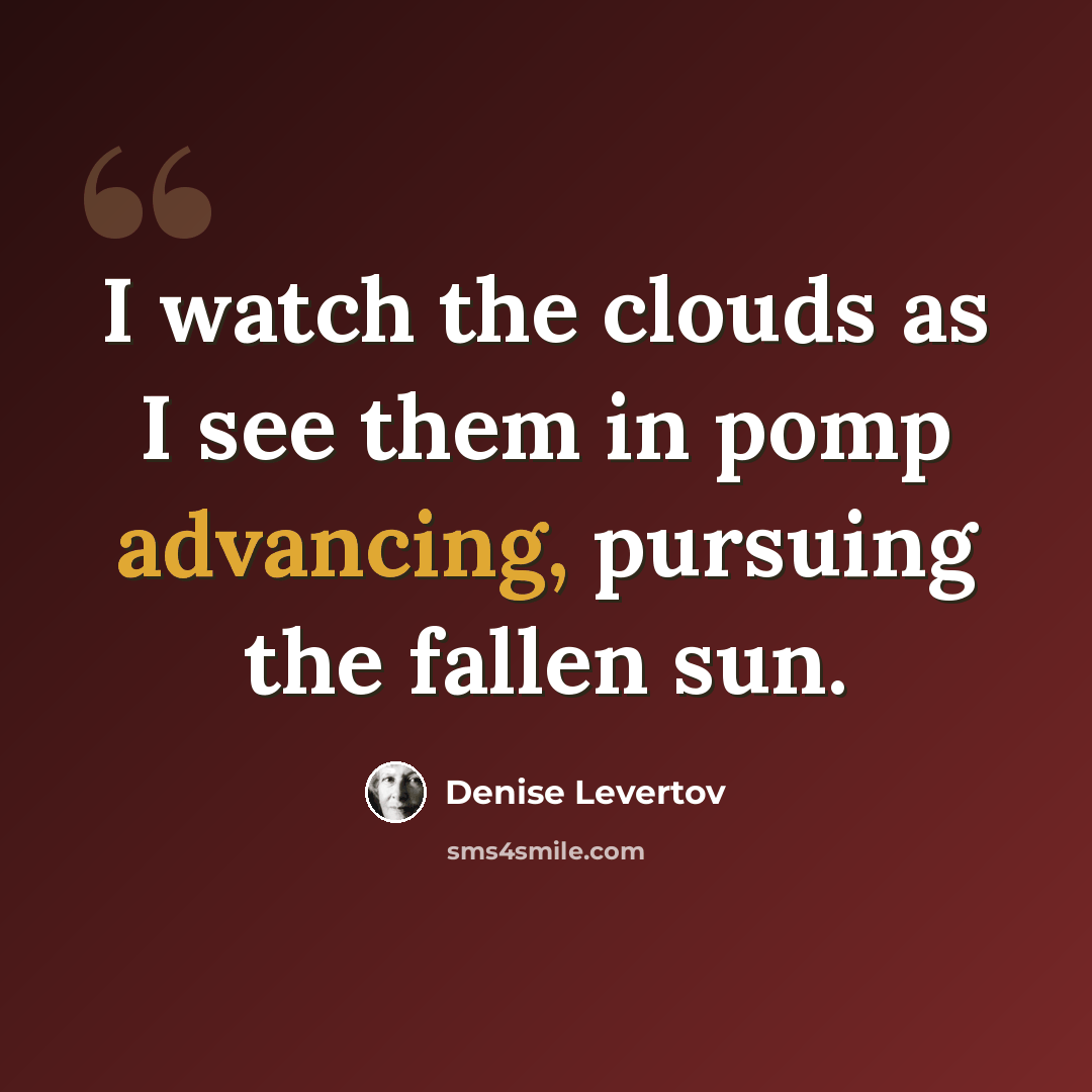 “I watch the clouds as I see them in pomp advancing, pursuing the fallen sun.” quote by Denise Levertov