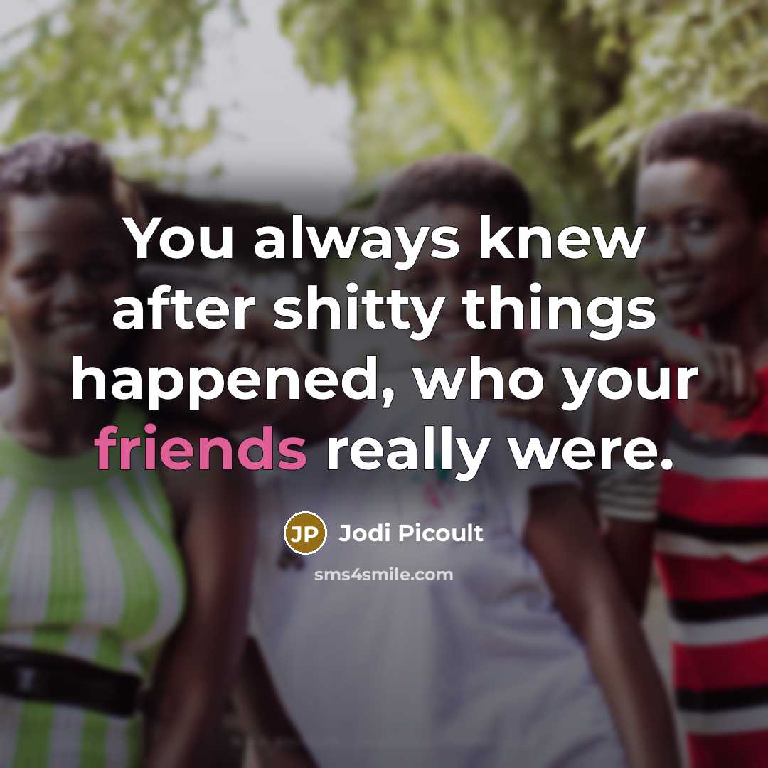 “You always knew after shitty things happened, who your friends really were.” quote by Jodi Picoult
