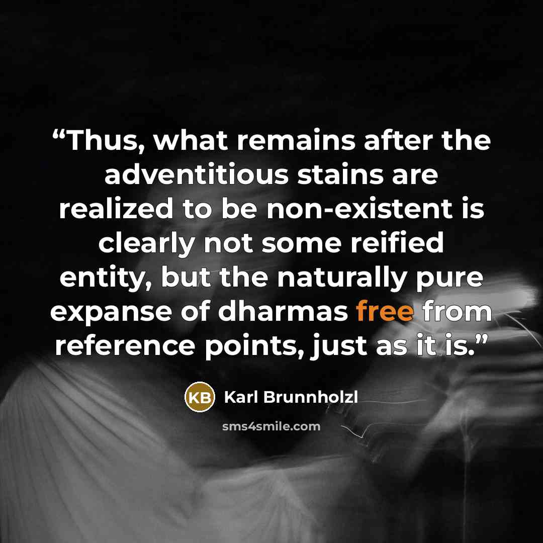 “Thus, what remains after the adventitious stains are realized to be non-existent is clearly not some reified entity, but the naturally pure expanse of dharmas free from reference points, just as it is.” quote by Karl Brunnholzl
