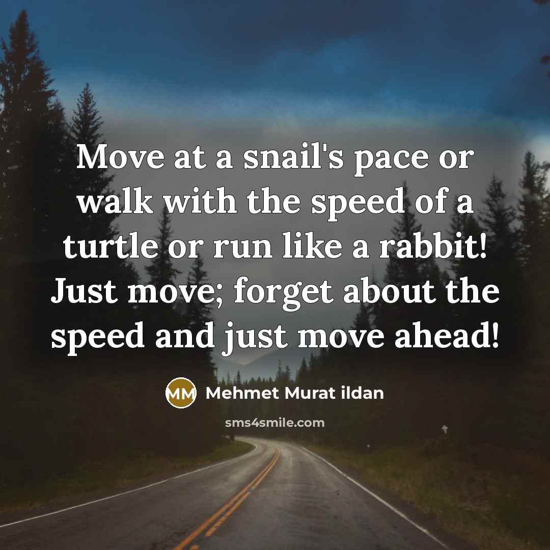 “Move at a snail's pace or walk with the speed of a turtle or run like a rabbit! Just move; forget about the speed and just move ahead!” quote by Mehmet Murat Ildan