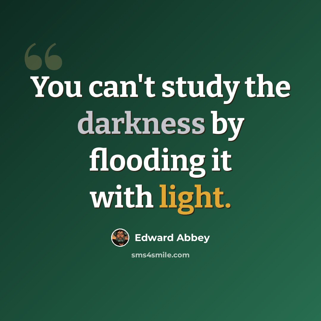 “You can't study the darkness by flooding it with light.” quote by Edward Abbey