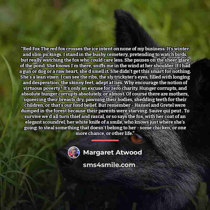 “Red Fox The red fox crosses the ice intent on none of my business. It's winter and slim pickings. I stand in the bushy cemetery, pretending to watch birds, but really watching the fox who could care less. She pauses on the sheer glare of the pond. She knows I'm there, sniffs me in the wind at her…” quote by Margaret Atwood