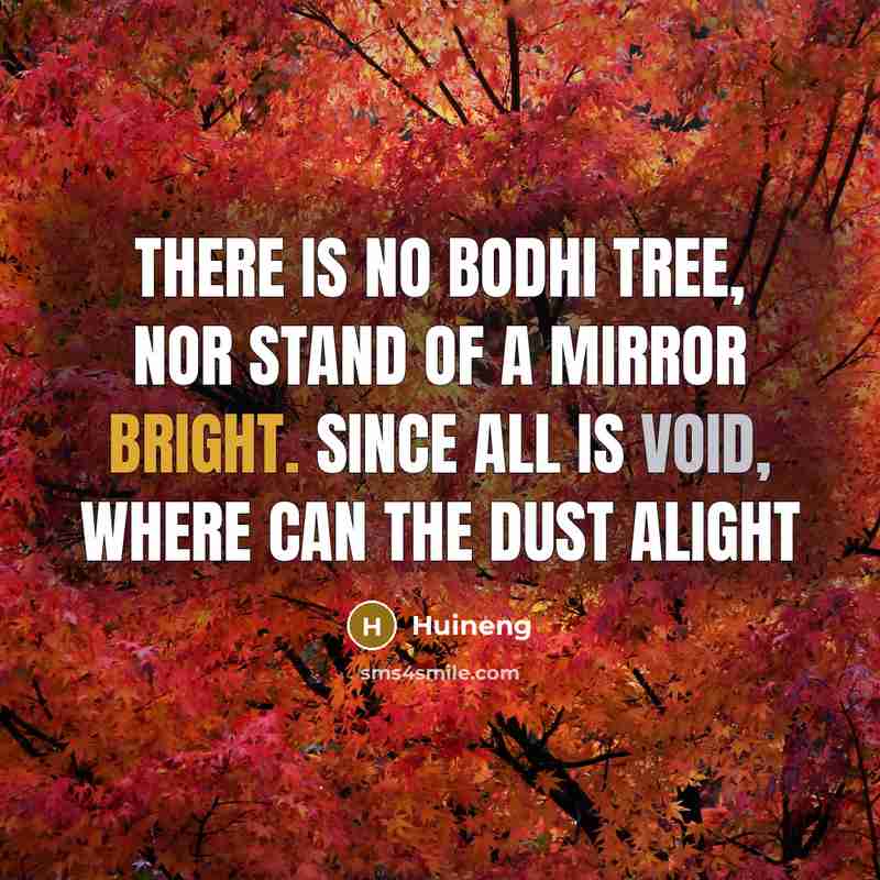 “There is no Bodhi tree, Nor stand of a mirror bright. Since all is void, Where can the dust alight” quote by Huineng