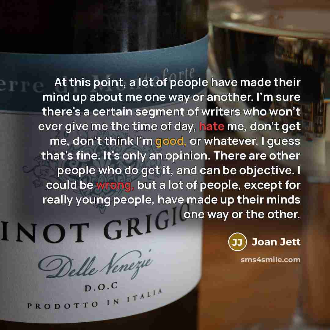 “At this point, a lot of people have made their mind up about me one way or another. I'm sure there's a certain segment of writers who won't ever give me the time of day, hate me, don't get me, don't think I'm good, or whatever. I guess that's fine. It's only an opinion. There are other people who…” quote by Joan Jett